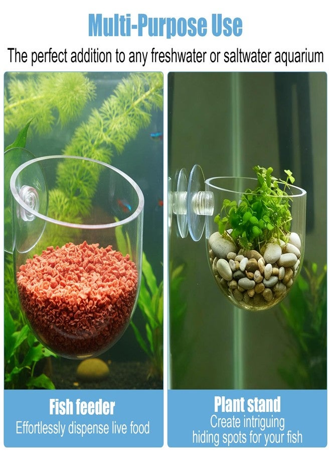 Eldraqth 3 Pack Aquarium Plant Holder Clear Fish Tank Plant Holder Fishes Tanks Plants Pot Acrylic Aquarium Planter Cup with Suction Cups for Home Aquariums Aquascape Decor, Red Worm Fish Shrimp Feeder - Image 3